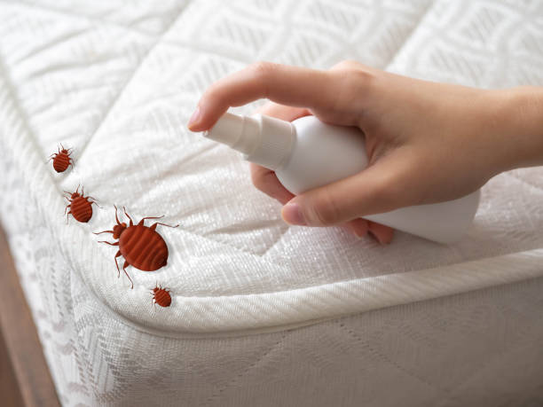 Emergency Pest Control Services in Perry Heights, OH